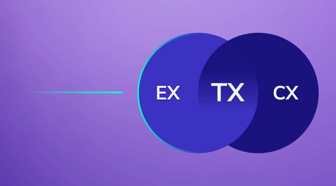 TX : la Total Experience ou l’expérience totale